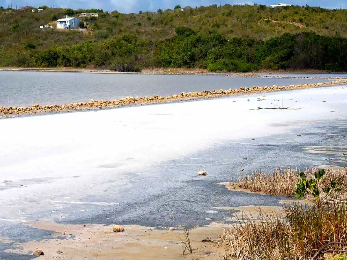 Солёная лагуна Лонг-Понд (Long Pond)
